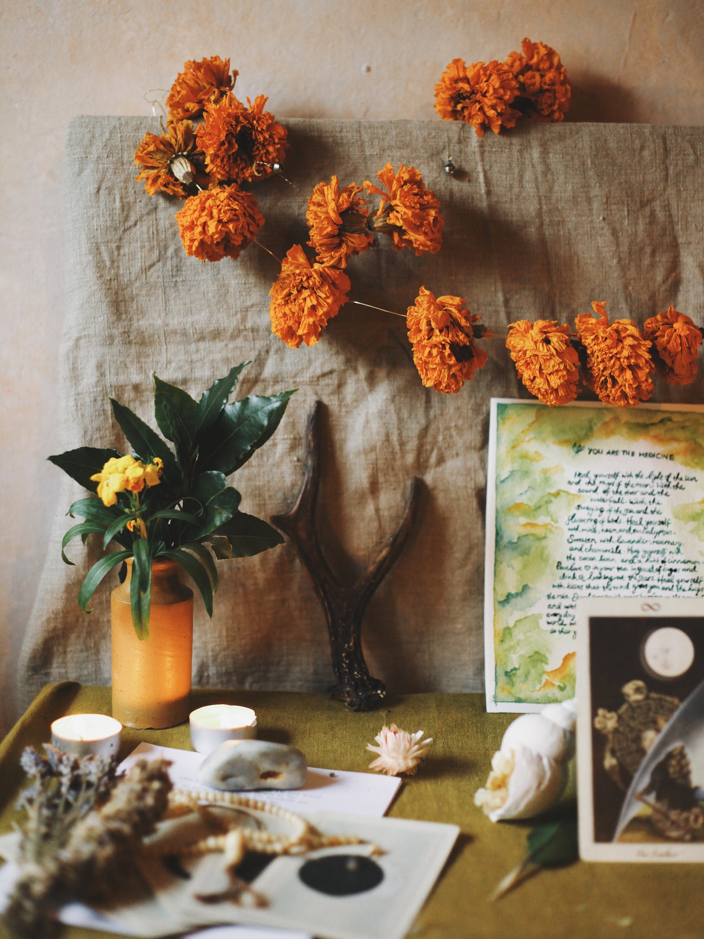 Garlands of eternal sunshine