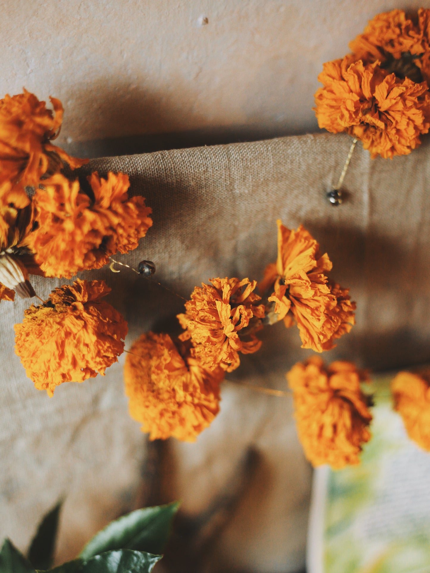 Garlands of eternal sunshine