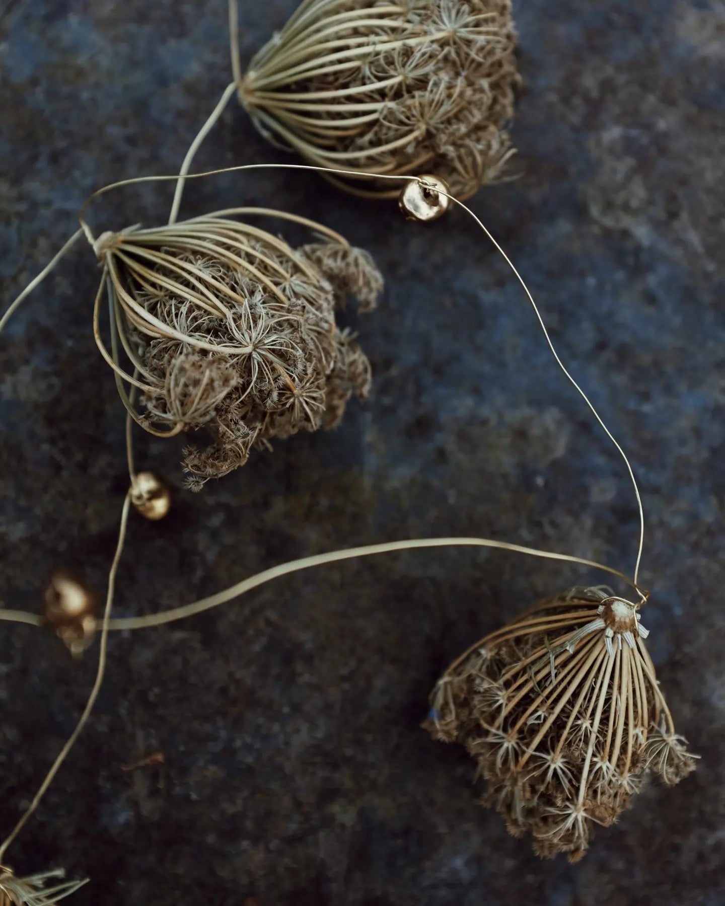 Wild carrot tinsel