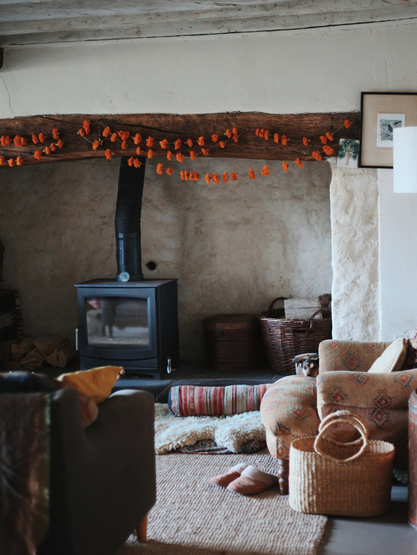 Garlands of eternal sunshine