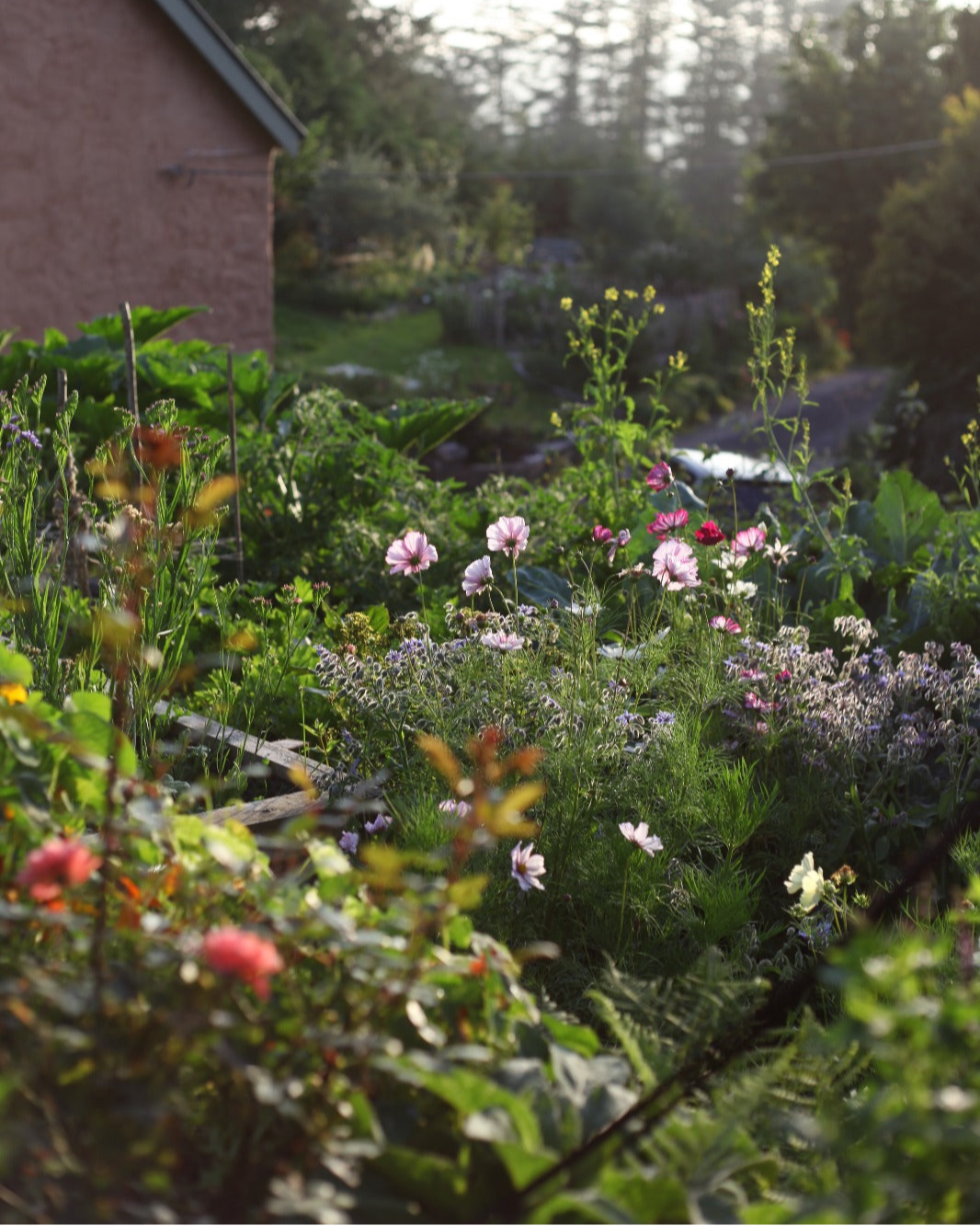 Floral Design Workshops