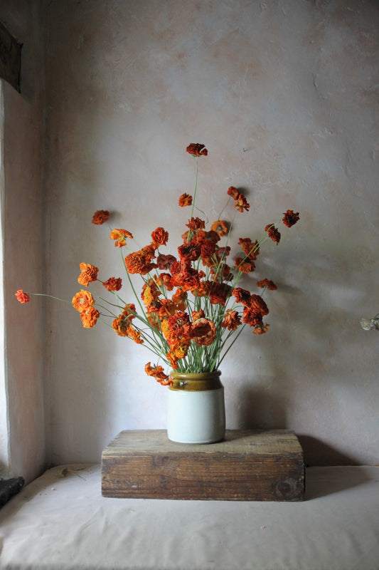 Dried orange ranunculus