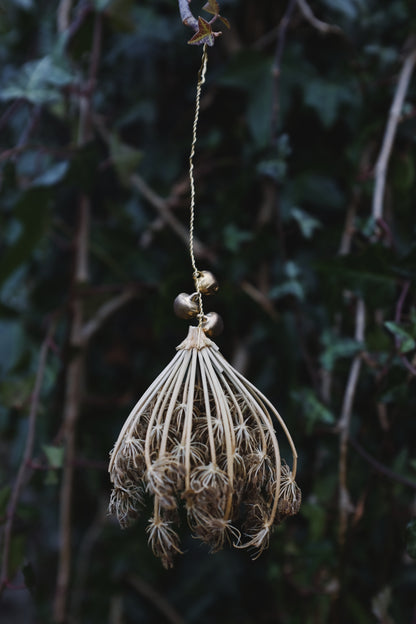 Wild carrot baubles
