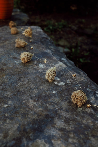 Wild carrot tinsel
