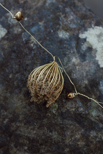 Wild carrot tinsel