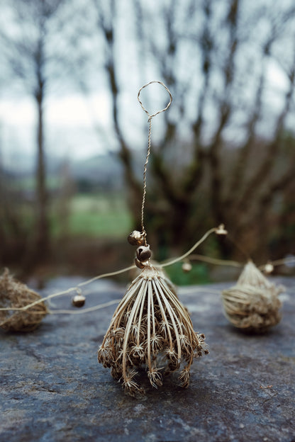 Wild carrot baubles