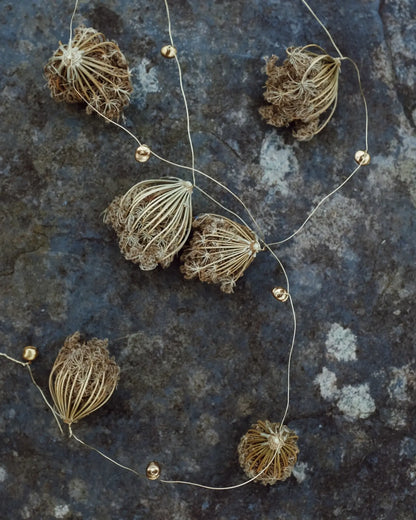 Wild carrot tinsel