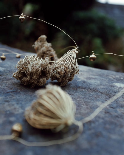 Wild carrot tinsel
