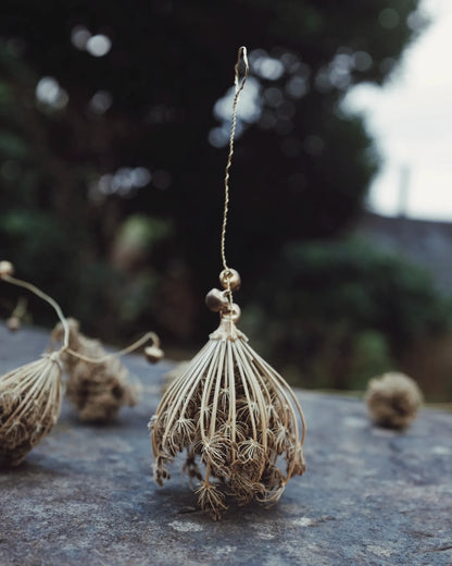 Wild carrot baubles
