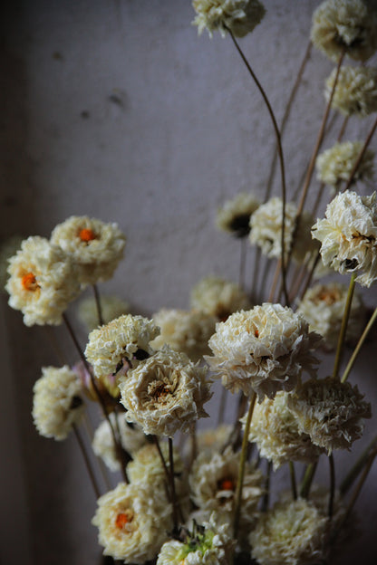 Floral Design Workshops