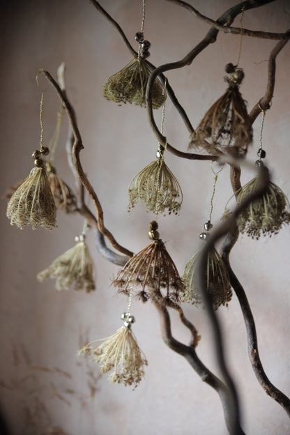 Wild carrot baubles