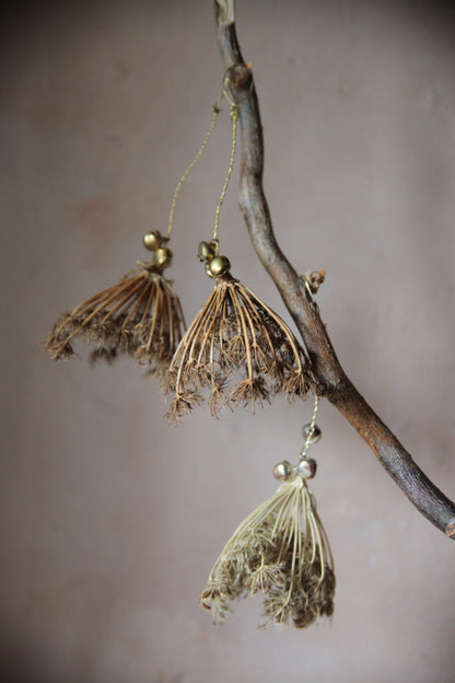Wild carrot baubles