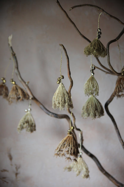 Wild carrot baubles