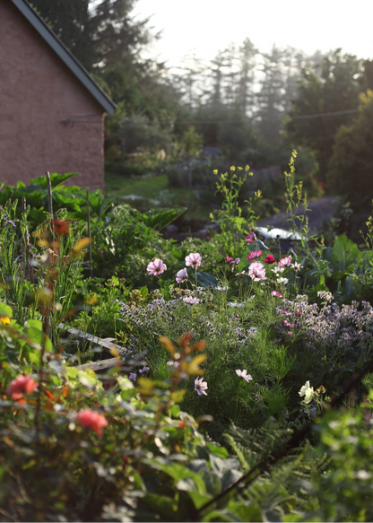 Floral Design Workshops