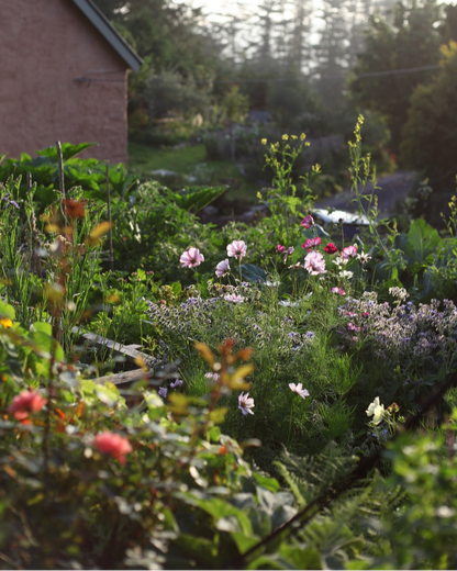 Floral Design Workshops