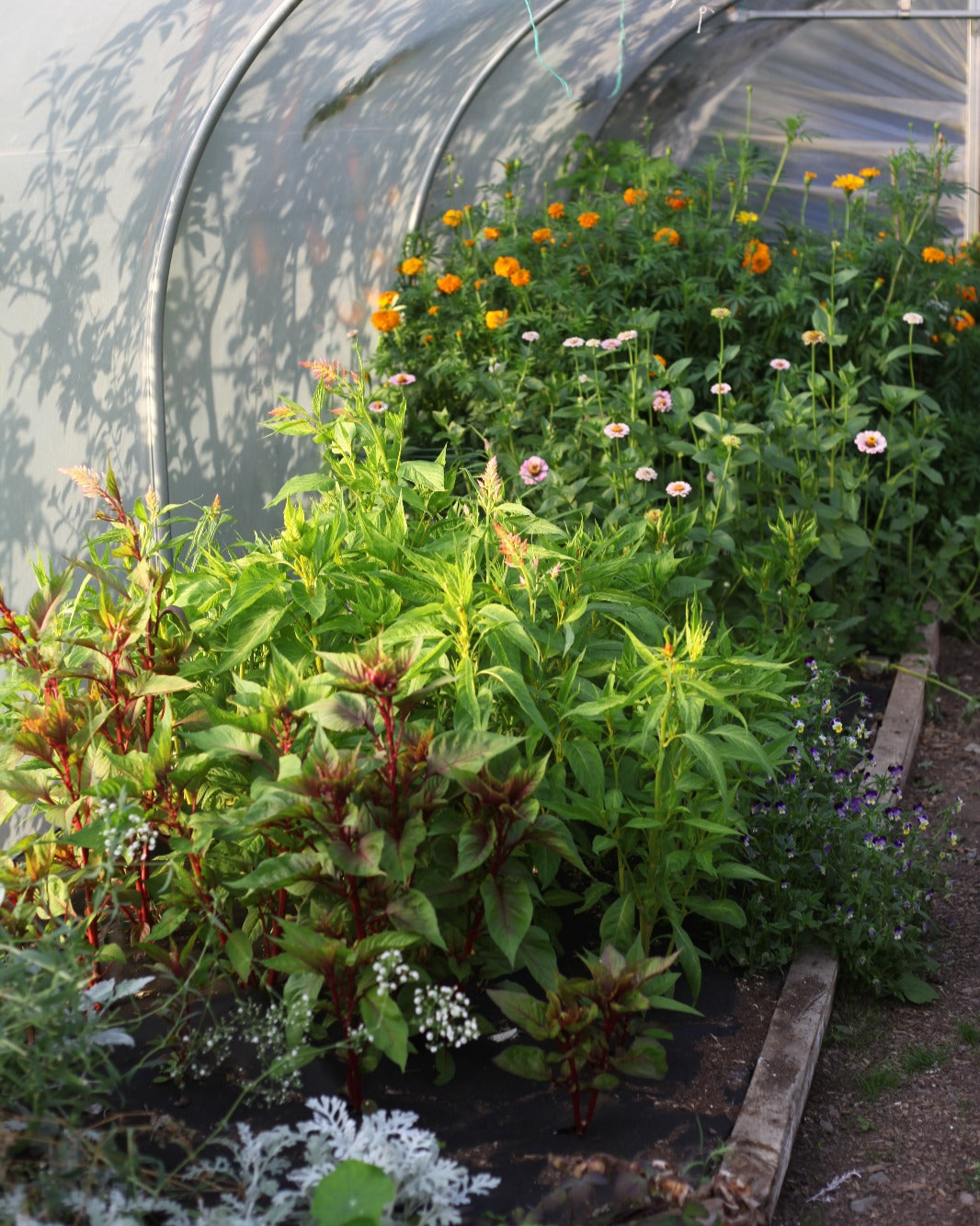 Floral Design Workshops