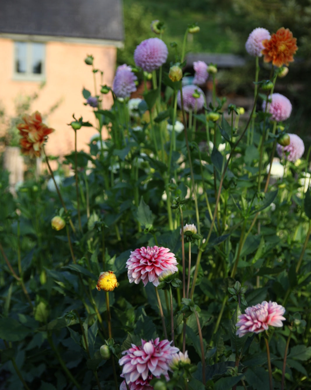 Floral Design Workshops