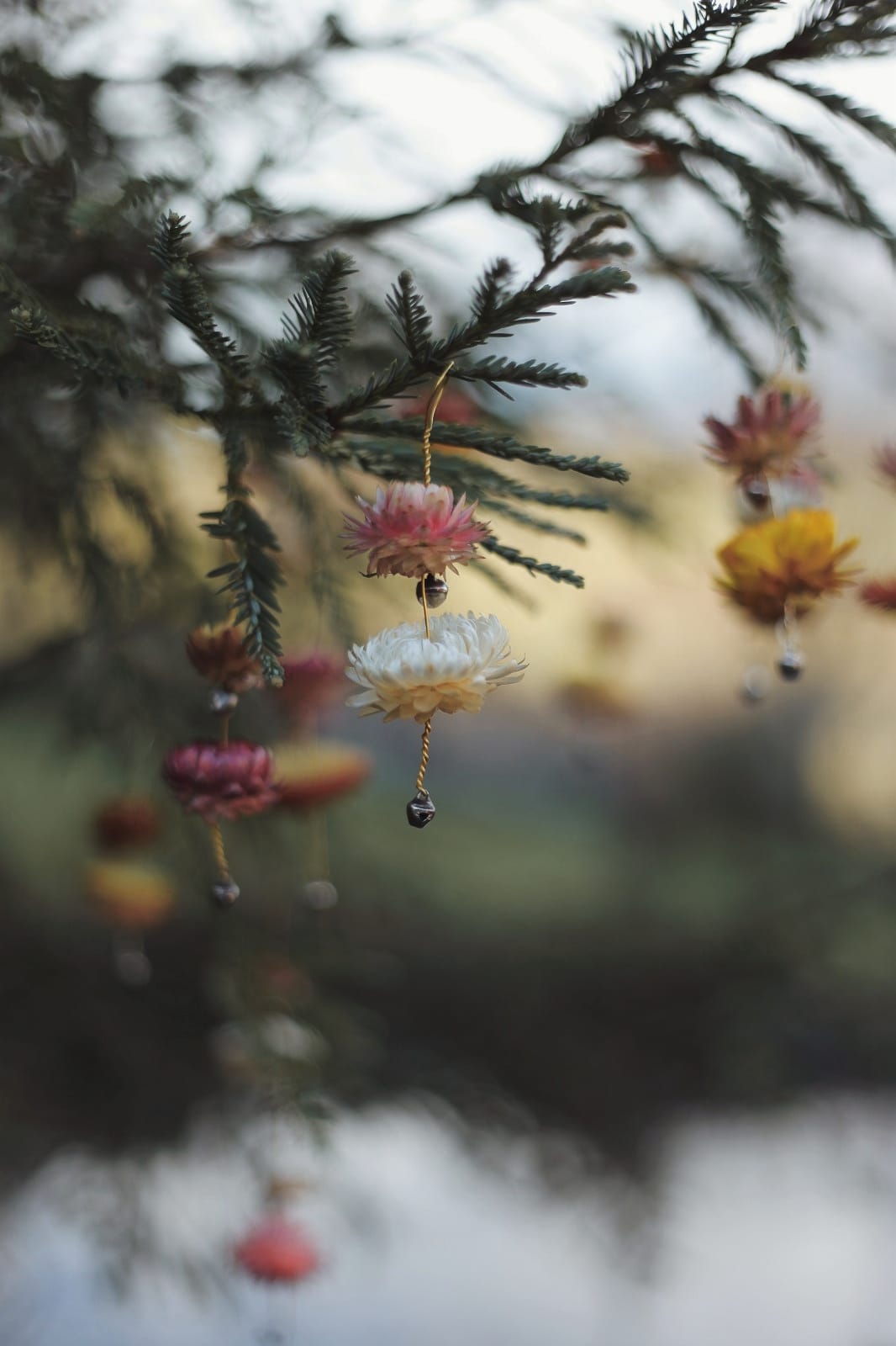set of 5 Floral Chimes