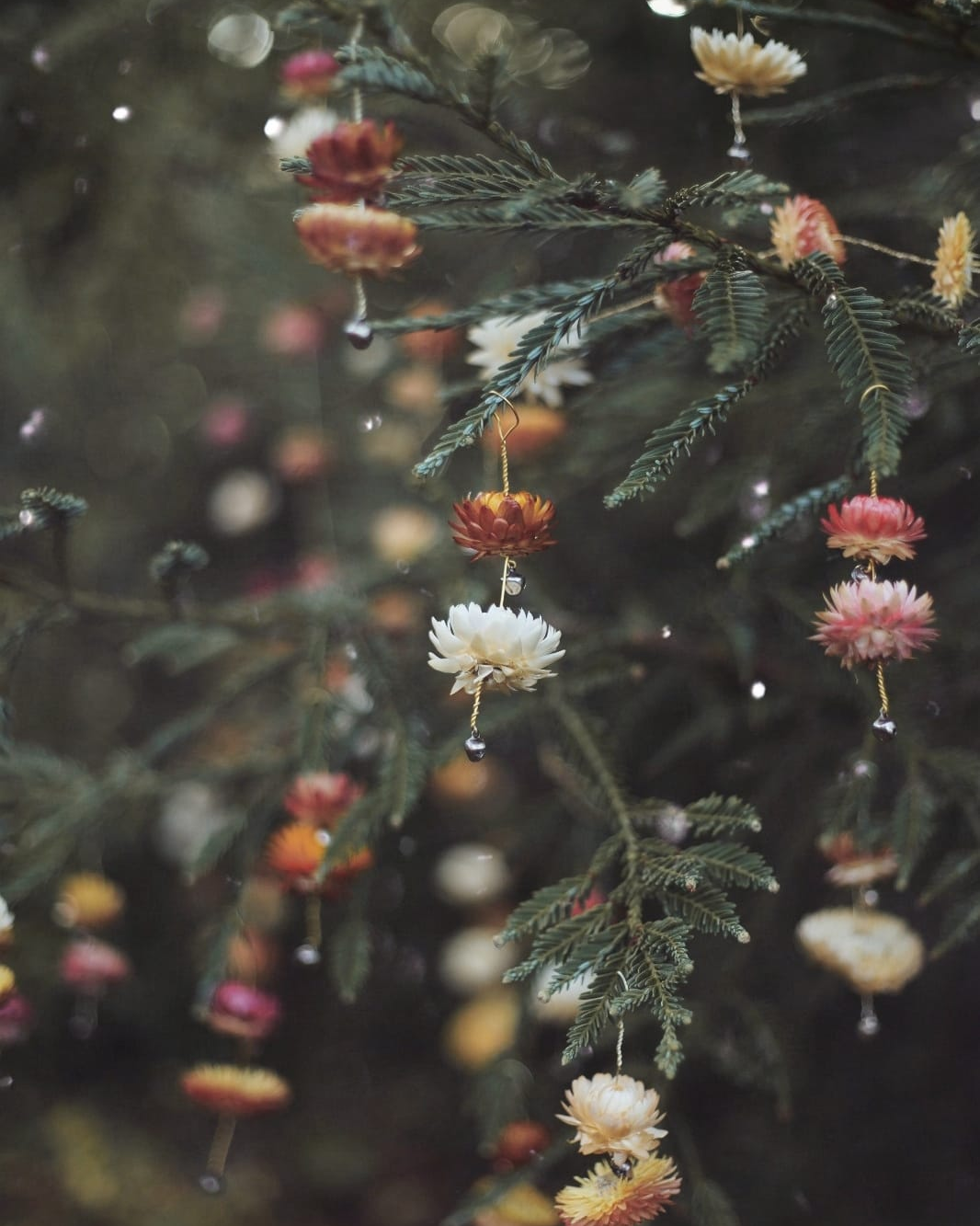 set of 5 Floral Chimes