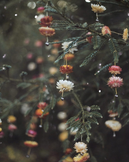 set of 5 Floral Chimes