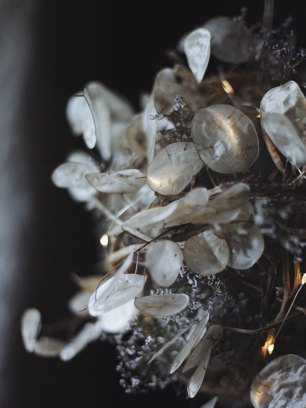 Giant Lunaria bauble
