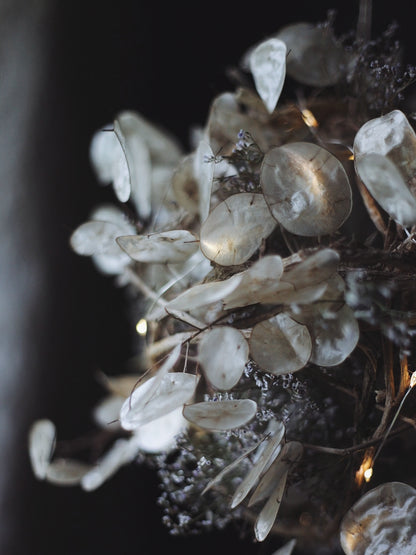 Giant Lunaria bauble