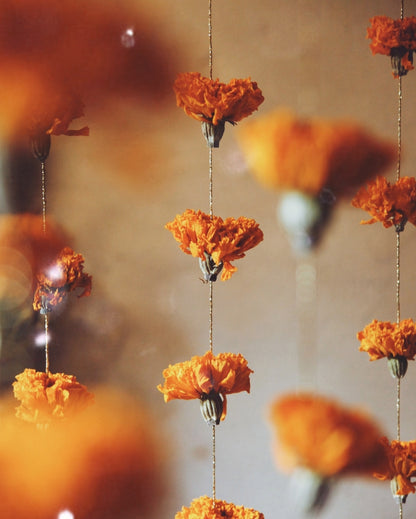 Garlands of eternal sunshine