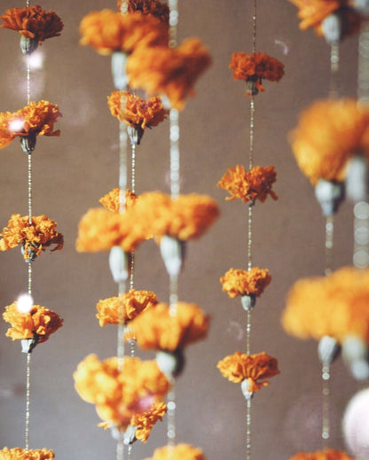 Garlands of eternal sunshine