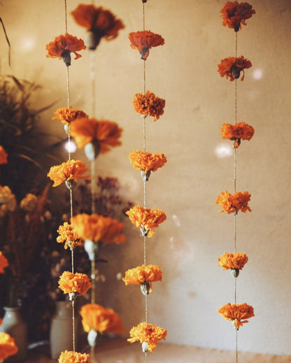 Garlands of eternal sunshine